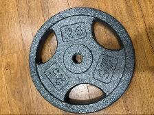 Weight Plate 25 lb — 1 Inch Standard, Cast Iron Grip Plate