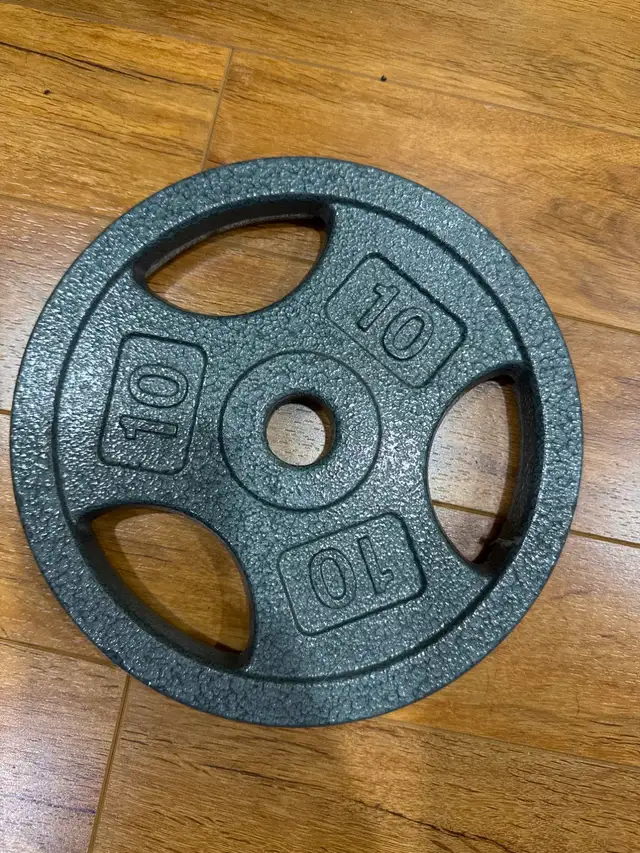 Weight Plate 10 lb — 1 Inch Standard, Cast Iron Grip Plate