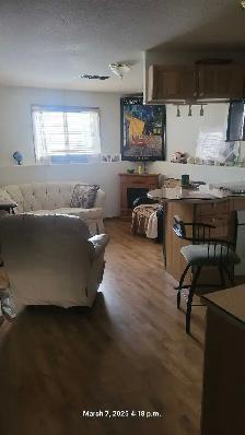 Roommate Wanted for Sr Home in Sylvan Lk - Photo 3