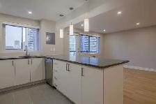 renovated 2-bedroom apartment on Drummond near McGill - ID 2365 - Photo 4