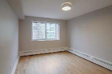 renovated 2-bedroom apartment on Drummond near McGill - ID 2365 - Photo 9