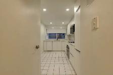 two bed apartment downtown near McGill - ID 1356 - Photo 3