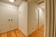 two bed apartment downtown near McGill - ID 1356 - Photo 5
