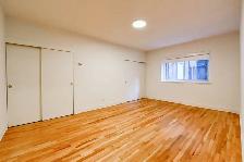 two bed apartment downtown near McGill - ID 1356 - Photo 9