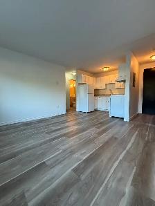 Spacious 1 Bedroom Unit For Rent