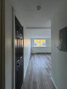 Spacious 1 Bedroom Unit For Rent - Photo 4