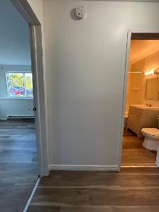 Spacious 1 Bedroom Unit For Rent - Photo 5