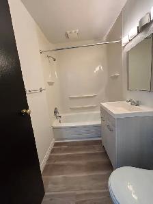 Spacious 1 Bedroom Unit For Rent - Photo 8