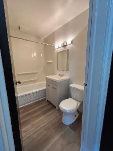 Spacious 1 Bedroom Unit For Rent - Photo 9