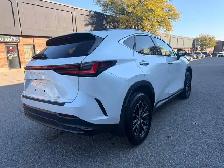 2025 Lexus NX NX 350 AWD, PREMIUM PKG - Photo 7
