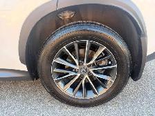 2025 Lexus NX NX 350 AWD, PREMIUM PKG - Photo 11