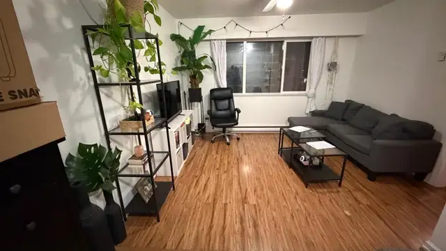 $1,150 / 1br - 500ft2 - BRIGHT, SPOTLESS APARTMEN