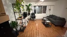 $1,150 / 1br - 500ft2 - BRIGHT, SPOTLESS APARTMEN