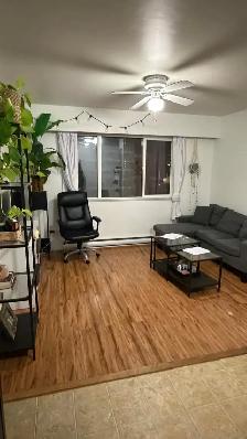 $1,150 / 1br - 500ft2 - BRIGHT, SPOTLESS APARTMEN - Photo 4