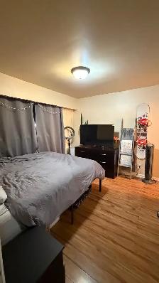 $1,150 / 1br - 500ft2 - BRIGHT, SPOTLESS APARTMEN - Photo 7