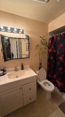 $1,150 / 1br - 500ft2 - BRIGHT, SPOTLESS APARTMEN - Photo 10