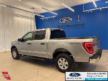 2023 Ford F-150 XLT HAIL SPECIAL - POWERBOOST HYBRID - ALLOY WHE - Photo 8