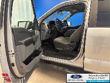 2023 Ford F-150 XLT HAIL SPECIAL - POWERBOOST HYBRID - ALLOY WHE - Photo 10