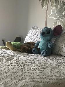 Chat mâle stérilisé de 1 1/2 an pour adoption - Photo 8