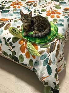 Chat mâle stérilisé de 1 1/2 an pour adoption - Photo 10