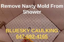 Nasty washroom recaulking service.  Bluesky Caulking $200 starts - Photo 2