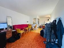 Loft studio à louer Sainte-Foy janvier 2027