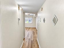 2 Bdrm 1 Bath w/ New Floors, Paint in Desirable Area,Central Air - Photo 5