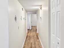 2 Bdrm 1 Bath w/ New Floors, Paint in Desirable Area,Central Air - Photo 6