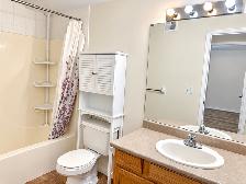 2 Bdrm 1 Bath w/ New Floors, Paint in Desirable Area,Central Air - Photo 11