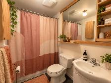 Queen w Roncesvalles,Dec,Amazing Loft,,1br,$3495,open concept - Photo 9