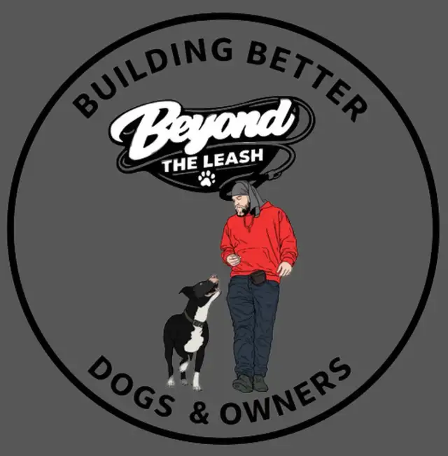 Dog training
