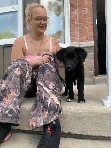 Puppy training - Photo 3