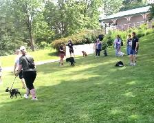 Puppy training - Photo 10