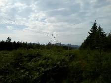 Terre à LOUER chasse 2027 - Photo 5