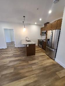Luxury Concrete 2BR w/ AC & Underground Pkg - 18 Hirtle Unit 207 - Photo 4