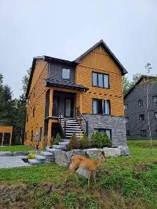 Fully Furnished 3 bedroom condo in Mont Tremblant (Pet-Friendly)