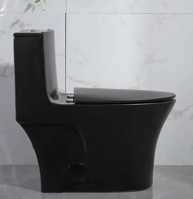 One Piece, Dual Flush Matte Black Round Toilet  - Clearance!