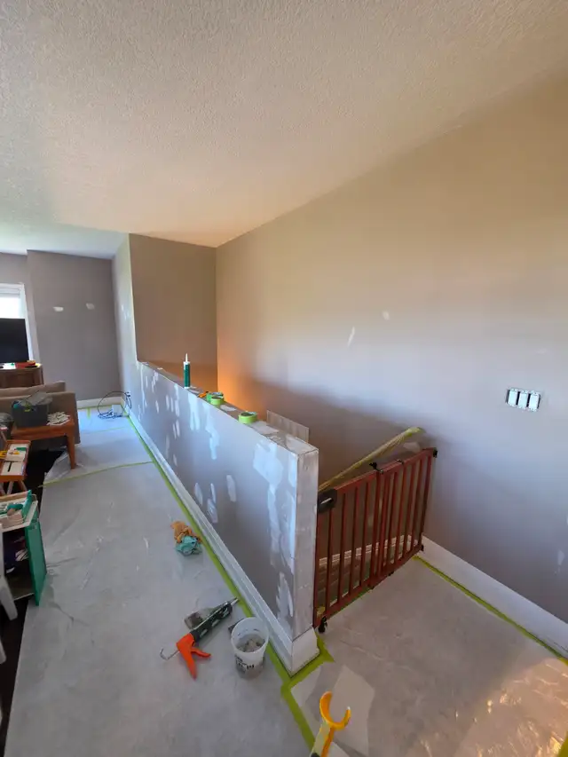 Professional painter seeking jobs