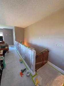 Professional painter seeking jobs