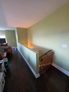 Professional painter seeking jobs - Photo 2