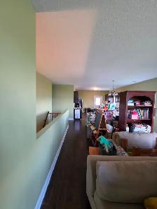 Professional painter seeking jobs - Photo 4