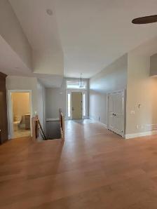 Professional painter seeking jobs - Photo 6