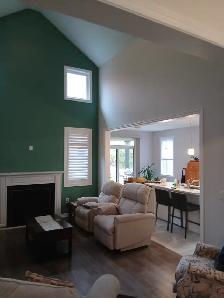 Professional painter seeking jobs - Photo 8