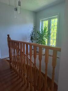 Room for rent in richmond hill - Photo 7