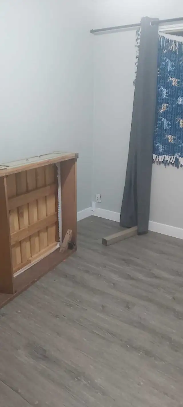 looking for a roommate