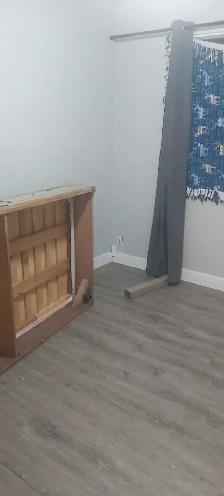 looking for a roommate