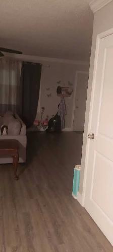 looking for a roommate - Photo 6