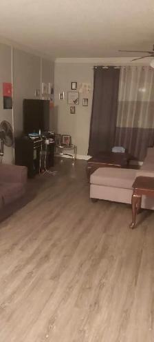 looking for a roommate - Photo 7