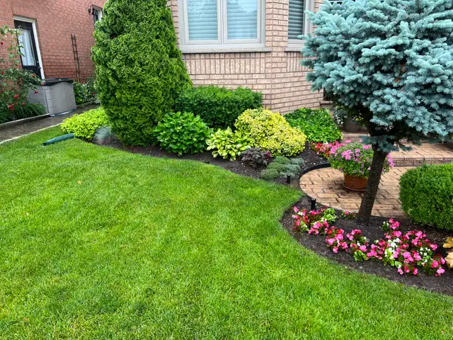 cleanup and grass cutting 289-772-7822