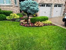 cleanup and grass cutting 289-772-7822 - Photo 2